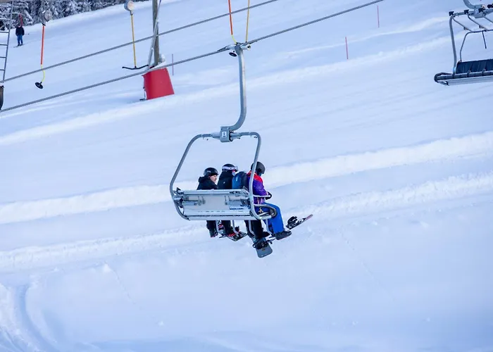 Luksushuvila Helmi וילה *